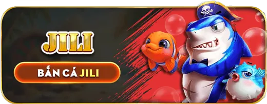 Công cụ chấp thuận cookie của nohu 52 apk
